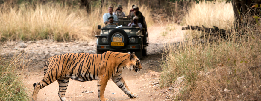 Golden Triangle Tour with Ranthambore